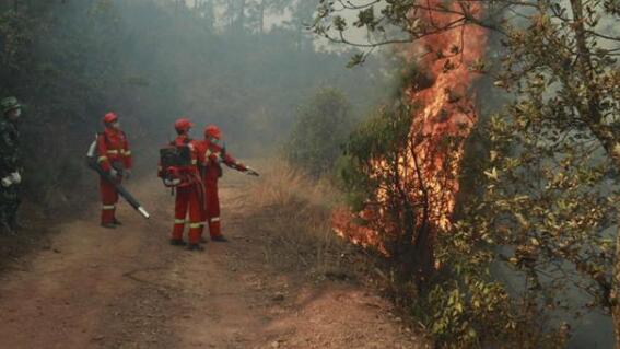 云南腾冲发生一起森林火灾 过火面积约60亩仍在扑救中