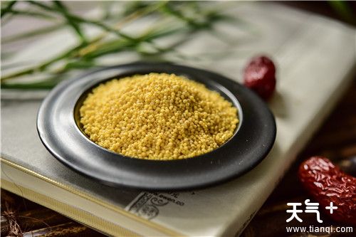 煮粥用什么米比较好 分享6种适合煮粥的米