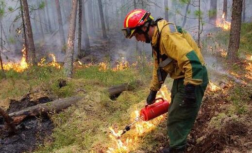 俄堪察加边疆区北部发生11处山火 该地区已进入紧急状态