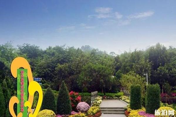 2019漳州菊花展什么时候开始+地点 2019漳州菊花展攻略