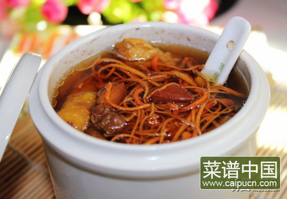 冬草川贝炖瘦肉