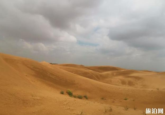 沙坡头攻略2019 沙坡头攻略2019