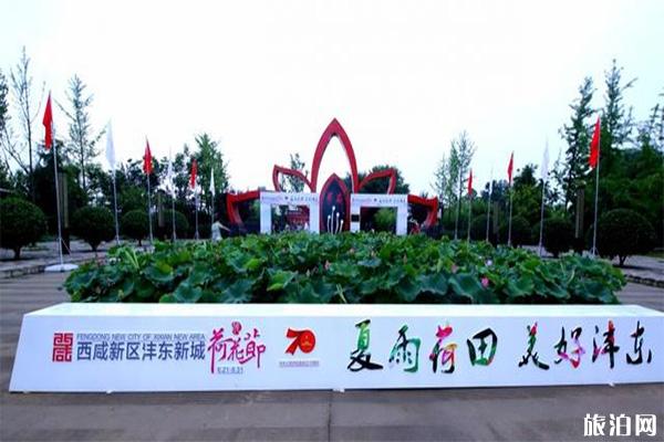 西安盛洲农业科技园荷苑怎么样 地址+怎么去+要门票吗 西安盛洲农业科技园荷苑怎么样 地址+怎么去+要门票吗