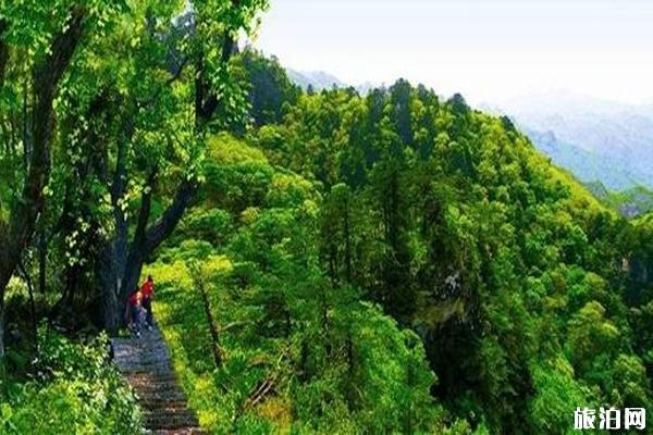 2019年暑假嵩县旅游优惠政策+游玩攻略