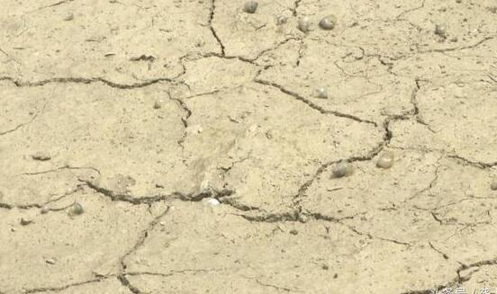 云南干旱受灾人数增至147.79万人 境内共计100条河道断流