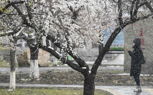 吉林多地中到大雪寒意十足 全省大部最高气温仅有4℃