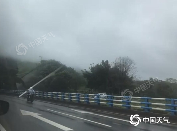 雨水暂歇 今明重庆阴天为主