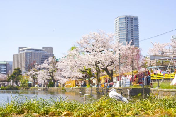 东京有什么好玩的 东京旅游必去的地方