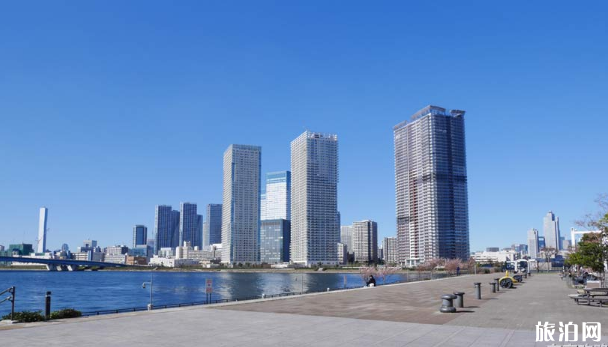 2019日本丰洲市场购物攻略（营业时间+交通）