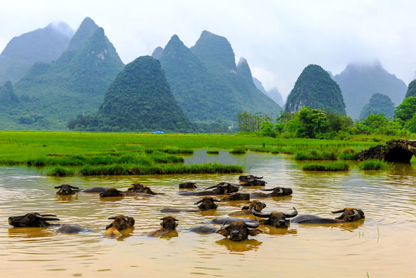 春游去桂林有哪些好景点 桂林适合踏青的地方