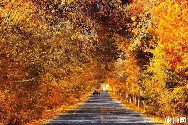 阿勒泰城市内部交通+景点介绍 阿勒泰城市内部交通+景点介绍