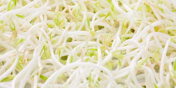 绿豆芽发苦还能吃吗 绿豆芽发苦有毒吗