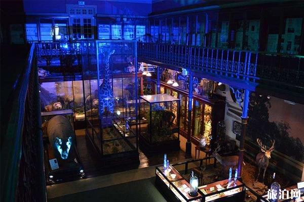 2019年深圳迪斯科博物馆展览时间+地点+票价