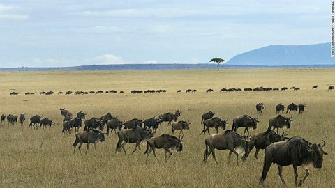 全球在消逝的旅游地