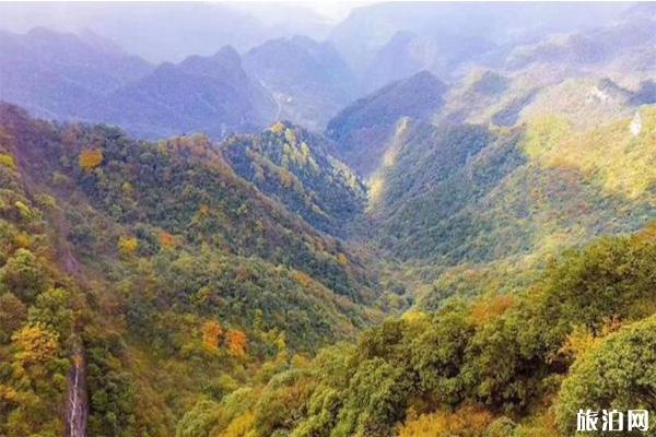 重庆金佛山西坡索道票价多少钱 免票时间+优惠内容