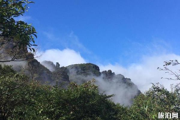 梵净山游记800字 梵净山旅游游记作文