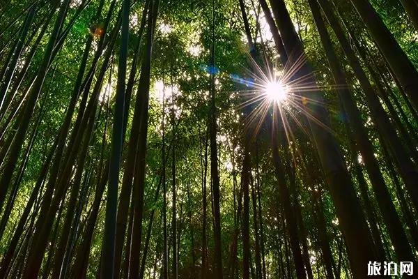 2019陕西教师节免票景点