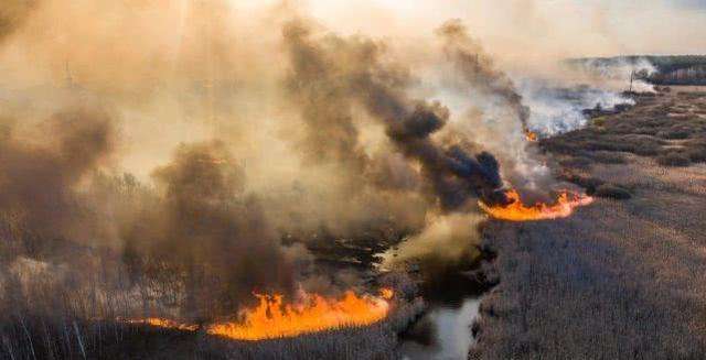 切尔诺贝利森林大火