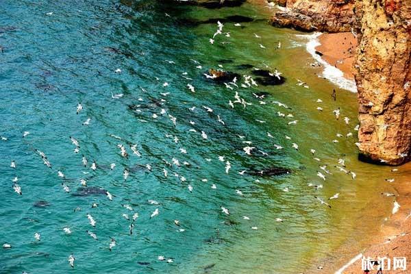 威海哪里可以看日出 威海看日出的最佳地方 威海哪里可以看日出 威海看日出的最佳地方