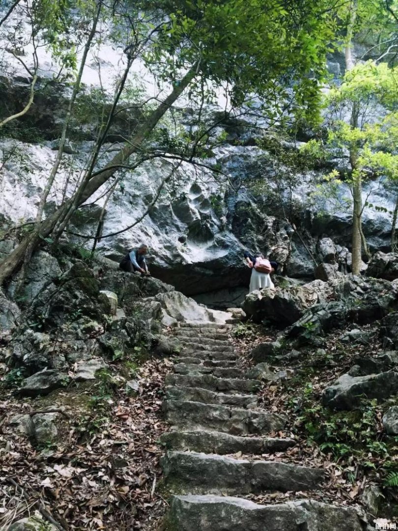 茂兰旅游攻略 茂兰徒步看点