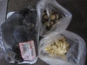 参茸乌鸡汤的做法步骤1