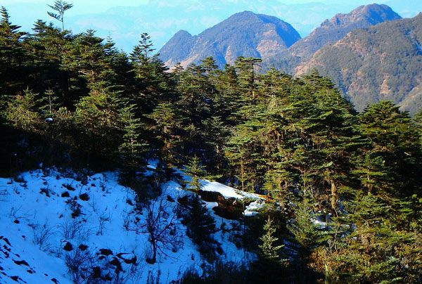 轿子雪山在哪里 轿子雪山最佳旅游时间