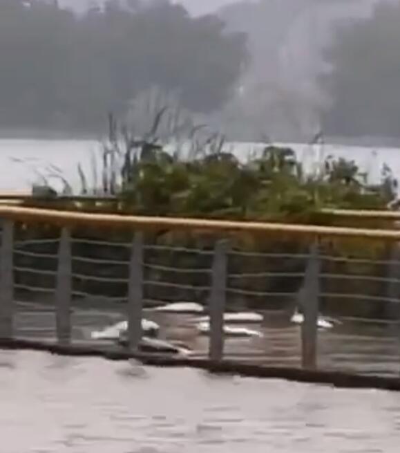 重庆今雨势减小气温20～32℃ 明部分地区暴雨重返