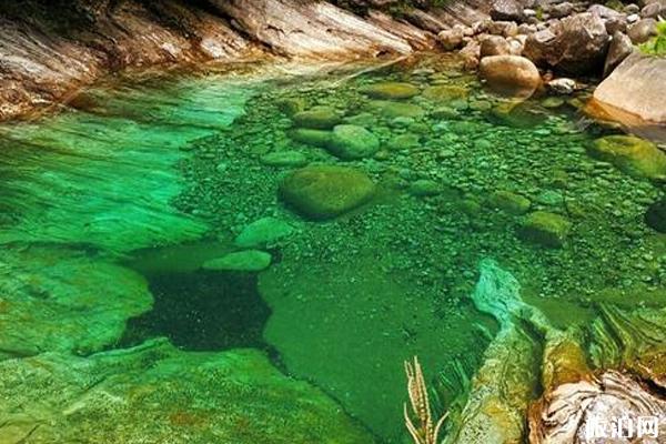 七夕节活动有哪些比较不错 七夕节活动有哪些比较不错