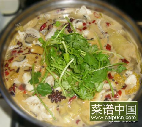 酸菜鱼