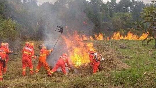 内蒙古大兴安岭山火最新消息 目前明火已经全部扑灭