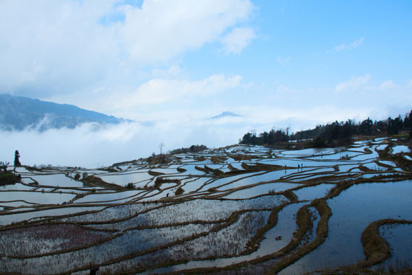 春天云南什么地方好玩 春天云南最美的地方