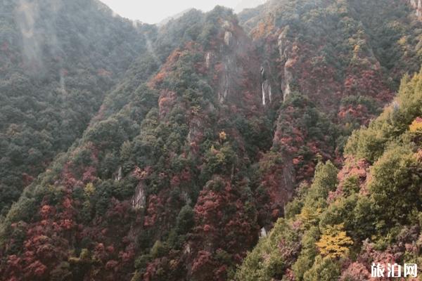 老君山红叶什么时候最美 老君山红叶观赏地点推荐