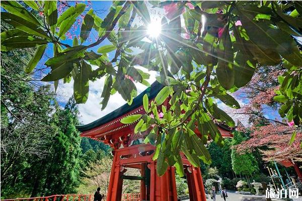 日本京都比叡山旅游攻略 日本京都比叡山旅游攻略