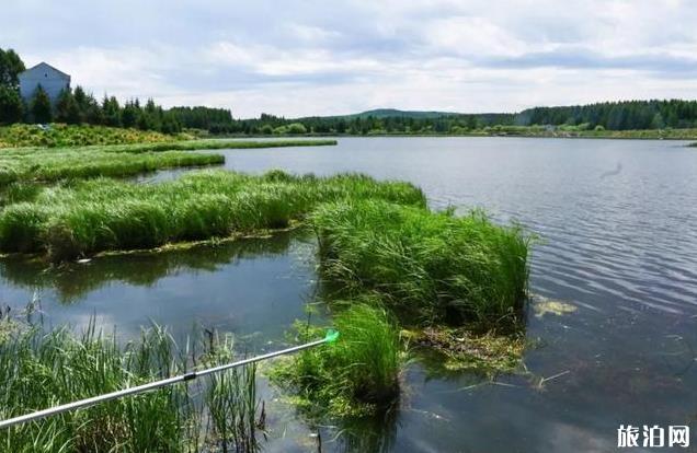 塞罕坝御道口自驾游旅游攻略