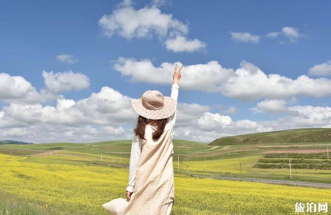 甘南桑科草原旅游攻略