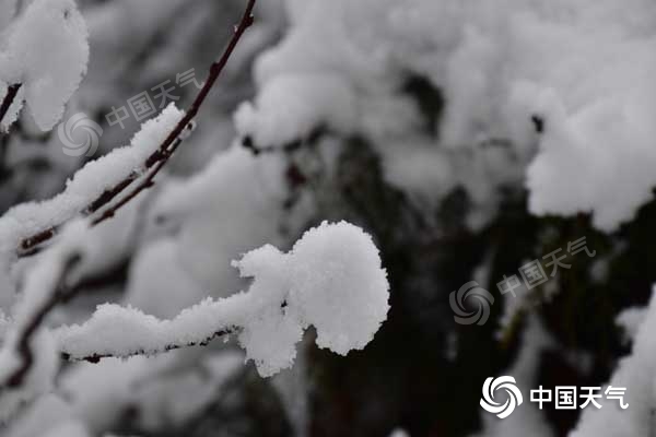 甘肃甘南临夏等地迎降雪 今天白天局地或将有暴雪