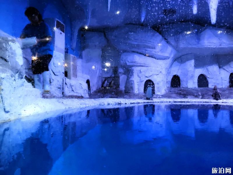 蓬莱三日游旅游攻略 蓬莱三日游景点推荐