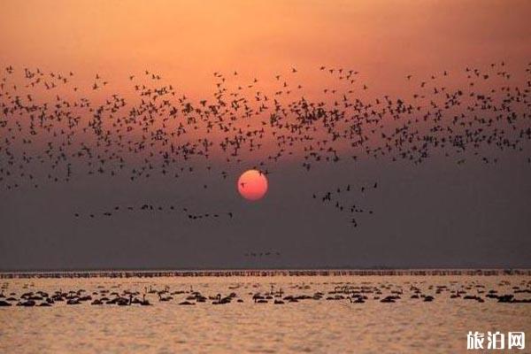江西秋季旅游好去处推荐 江西秋季旅游好去处推荐