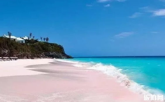 巴哈马粉色沙滩有哪些玩法
