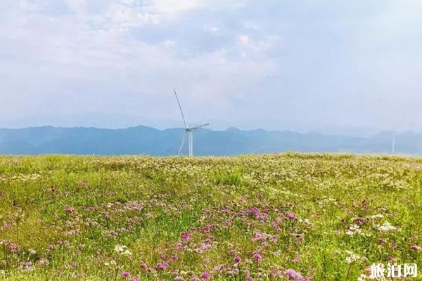 韭菜坪的花什么时候开+交通+门票信息 韭菜坪的花什么时候开+交通+门票信息