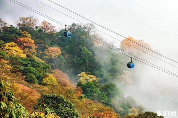 重庆金佛山西坡索道票价多少钱 免票时间+优惠内容