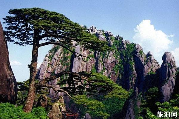 黄山景区一日游攻略