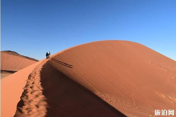 狮子王取景地是哪儿 狮子王取景地是哪儿