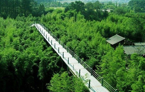 浙江安吉旅游攻略