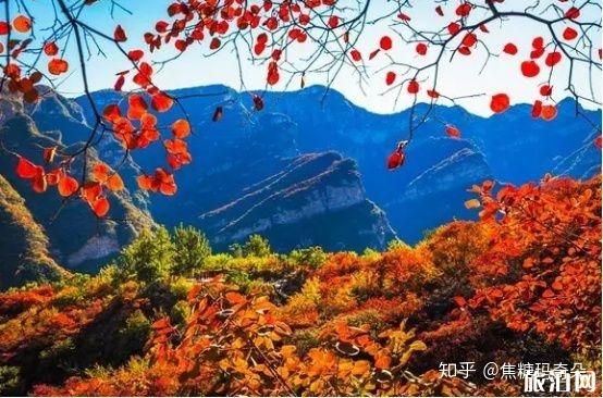 11月份适合去哪里旅游国内