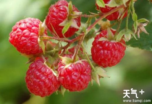 沈阳浑南知名特产有哪些