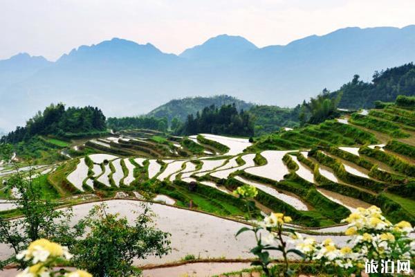 杭州适合秋游的地方 杭州适合秋天玩的景点