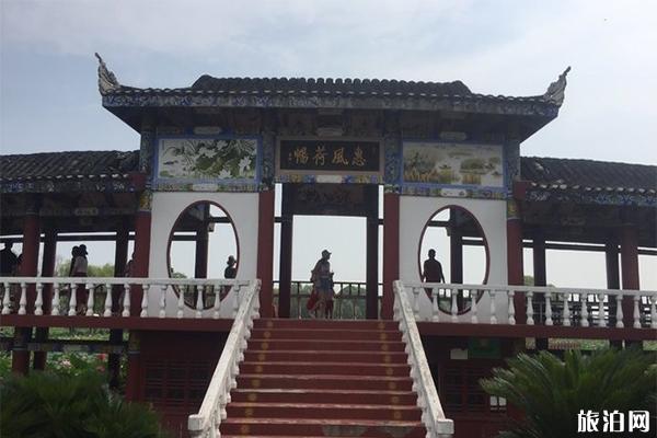 洪湖一日游景点攻略