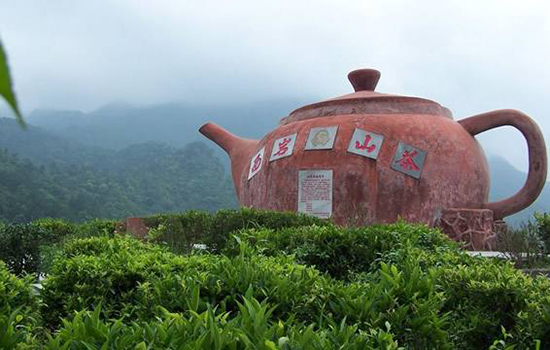 梅州有哪些特色名茶 广东梅州特产