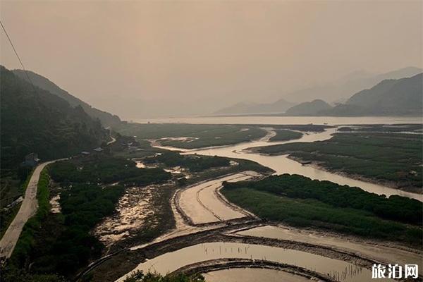 鹅湾红树林摄影点在哪里 拍照怎么样